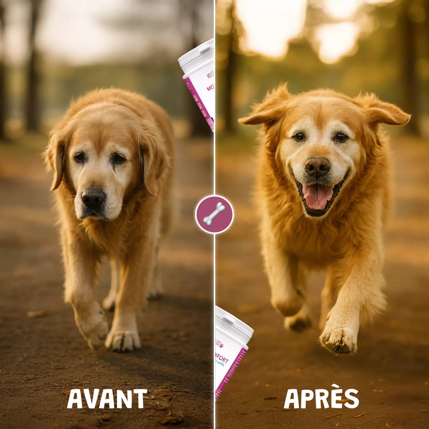 Pack bonds d'artiste