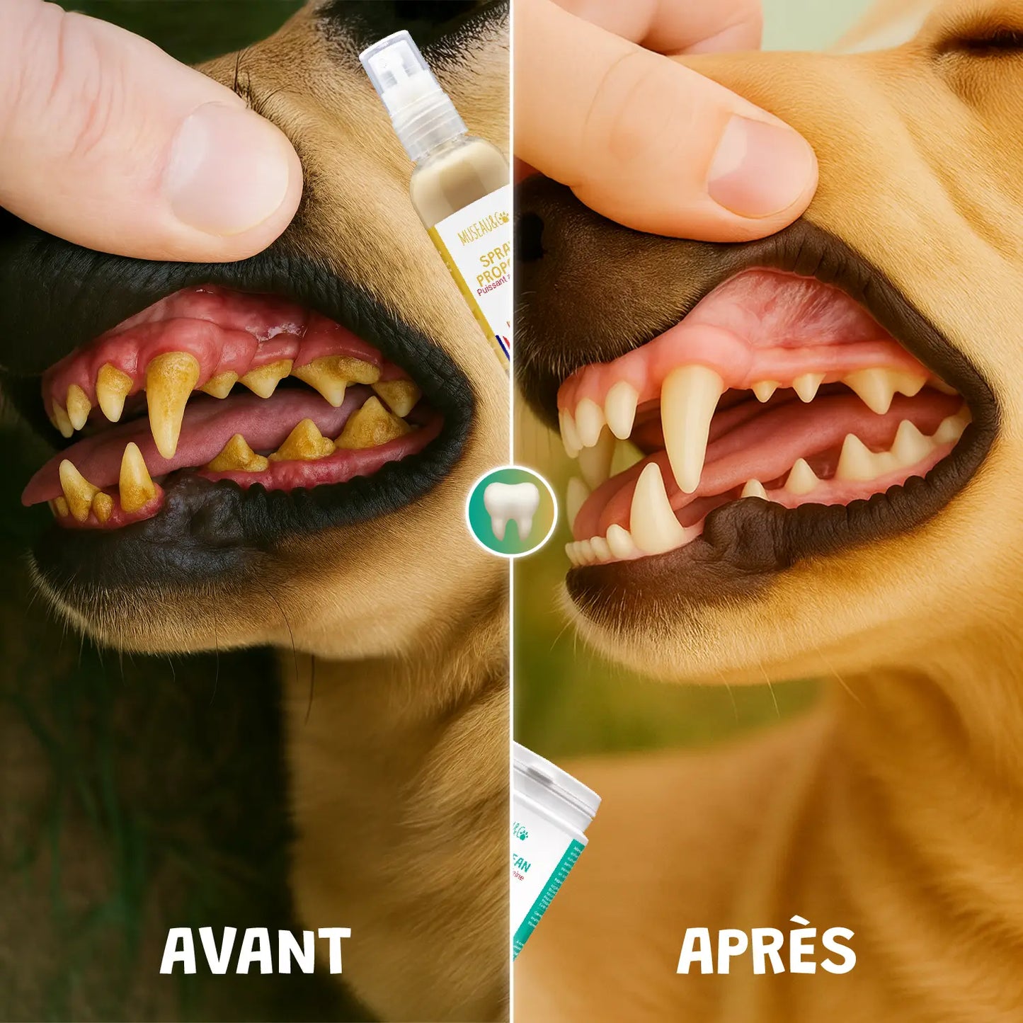 pack smile d'enfer