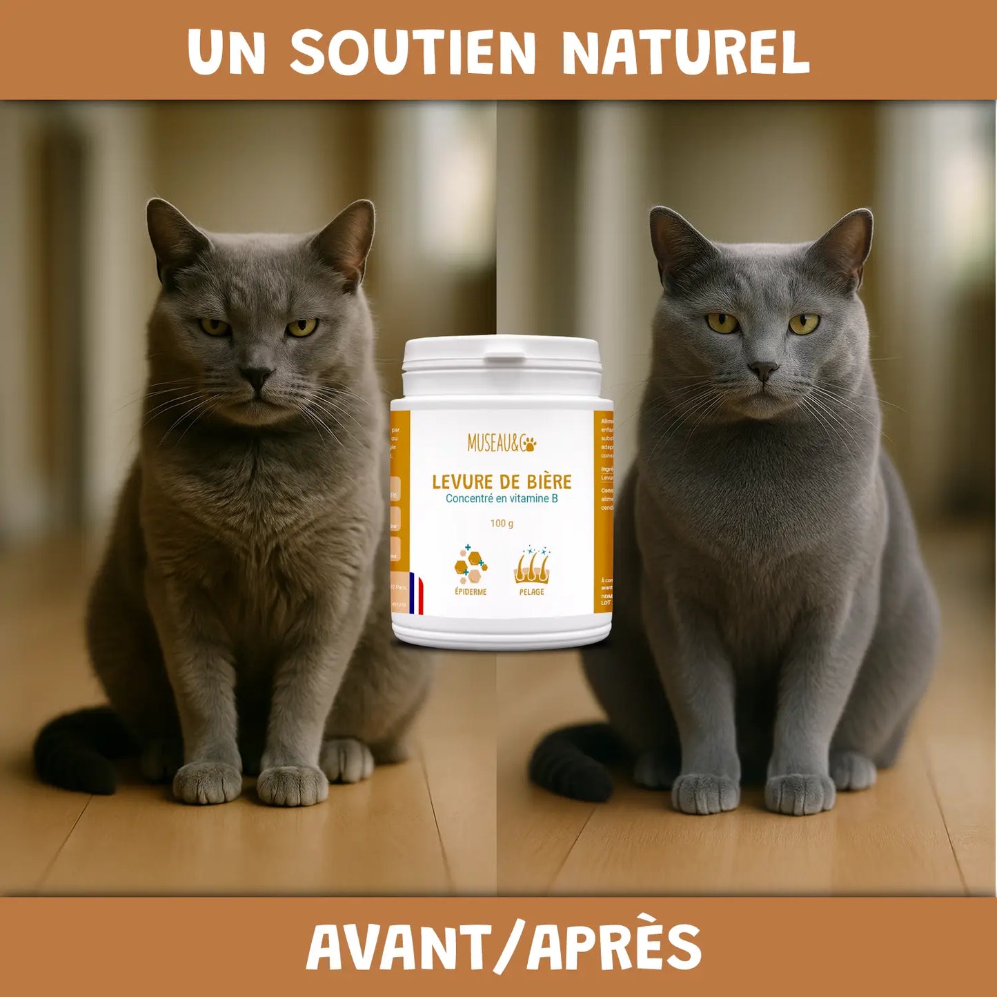 Levure de bière