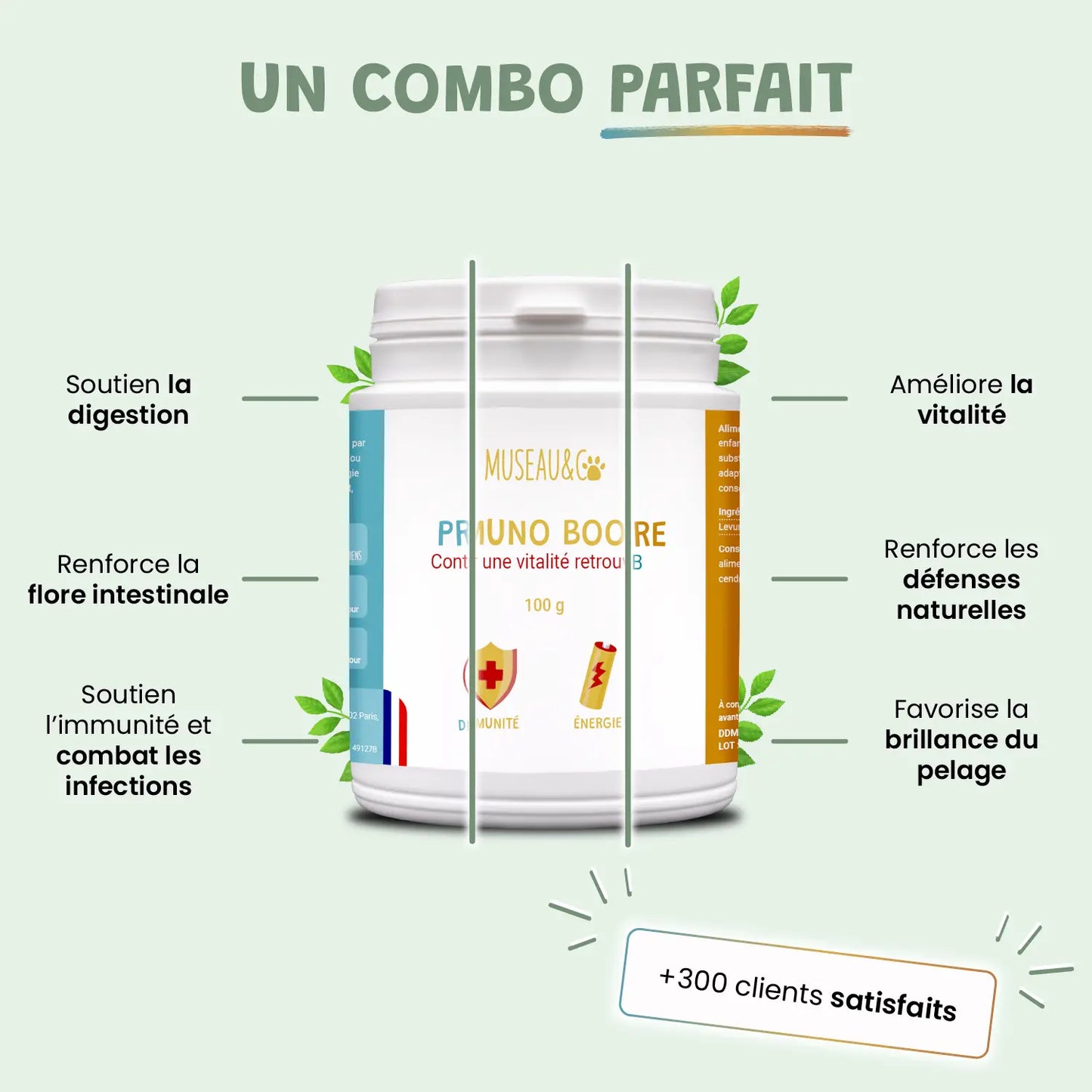 pack découverte