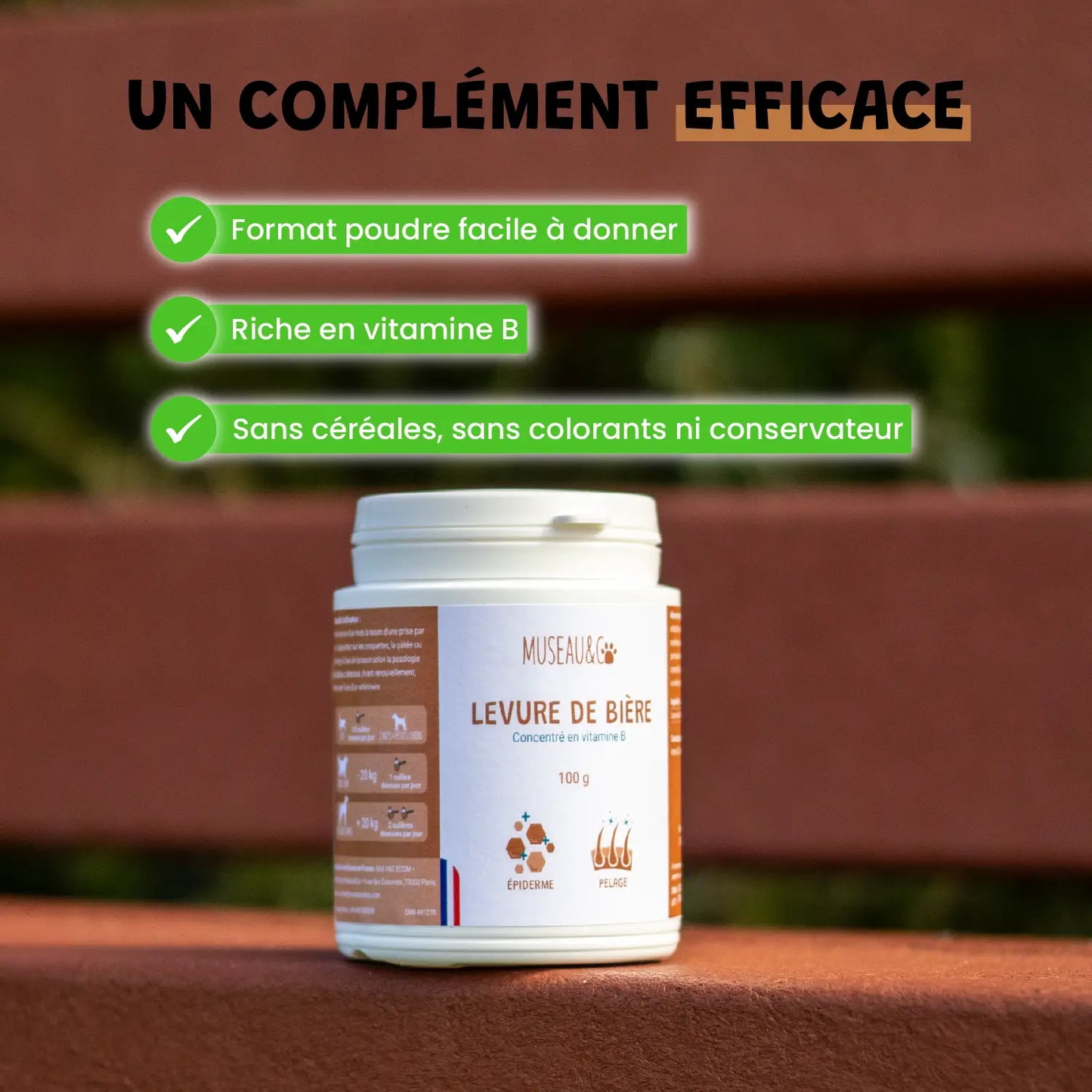 Levure de bière