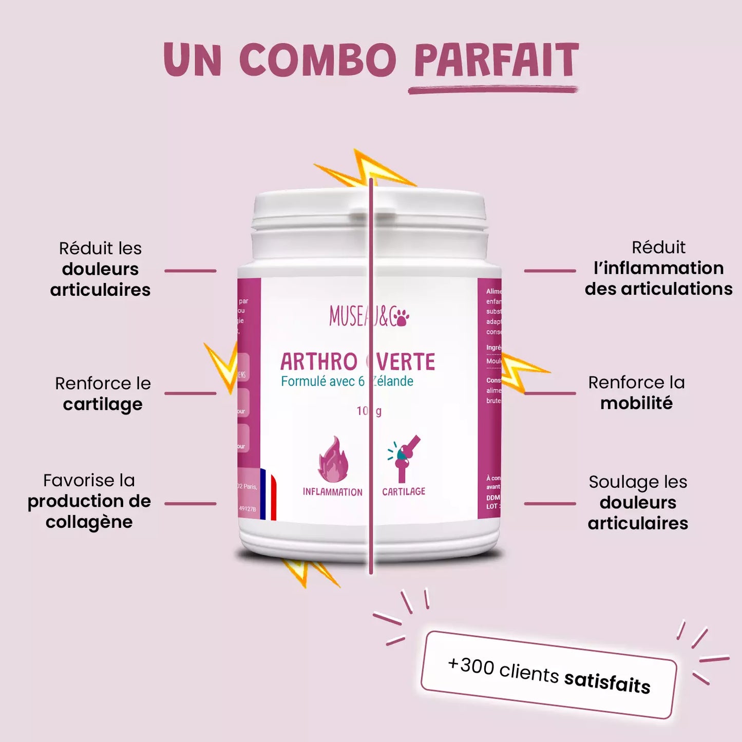 Pack bonds d'artiste