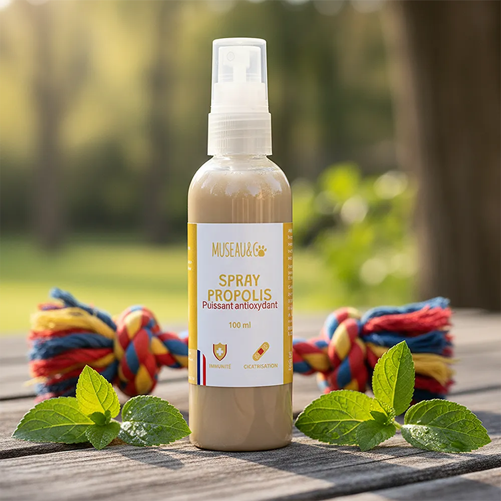 Spray Propolis