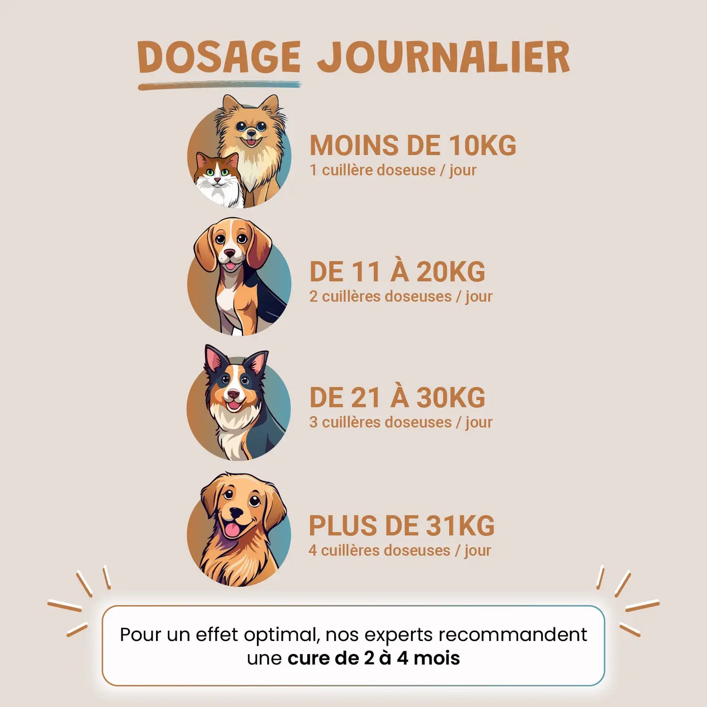 Pack poil de star