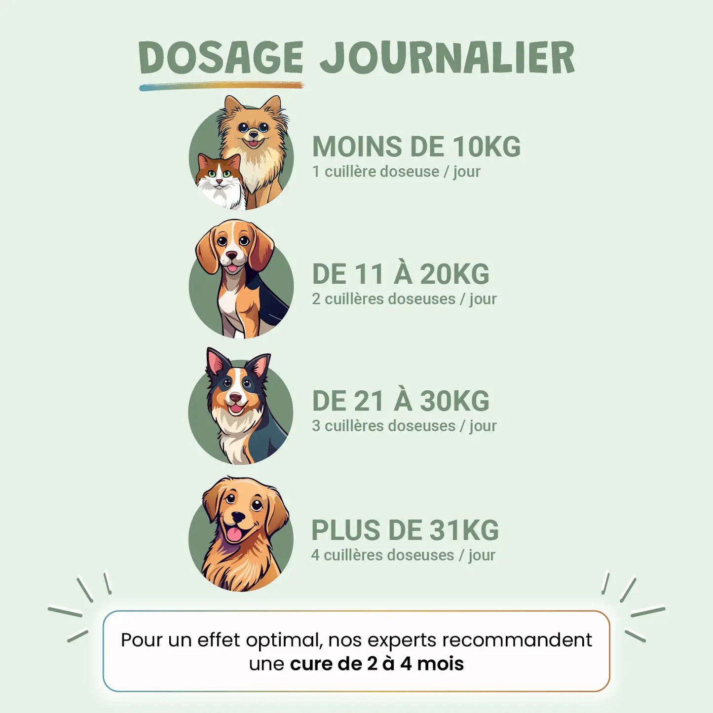 pack découverte