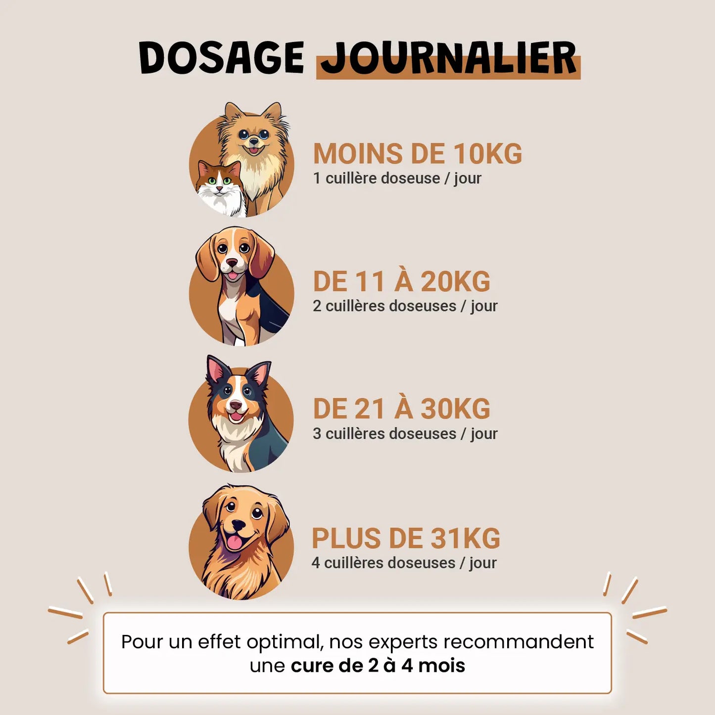 Levure de bière