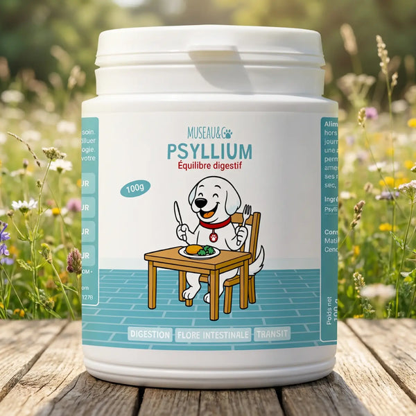 Psyllium