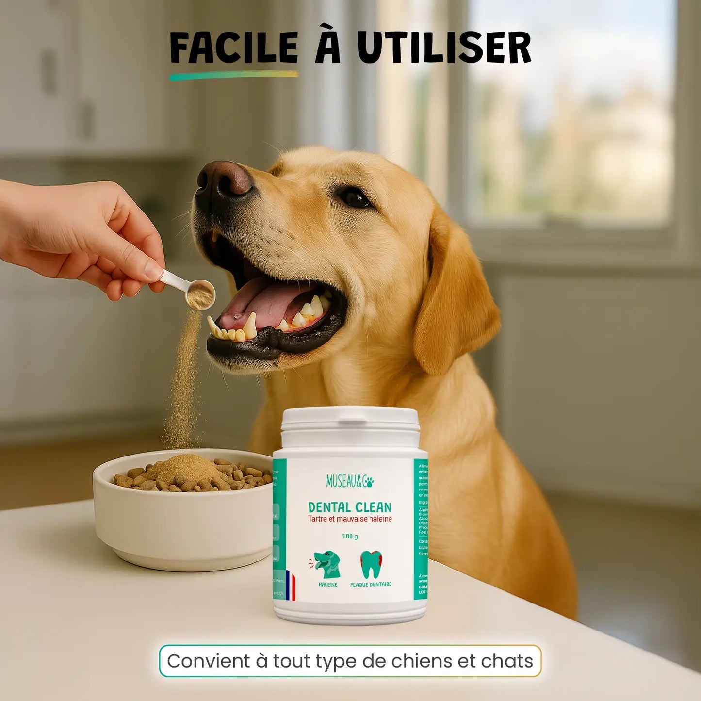 pack smile d'enfer