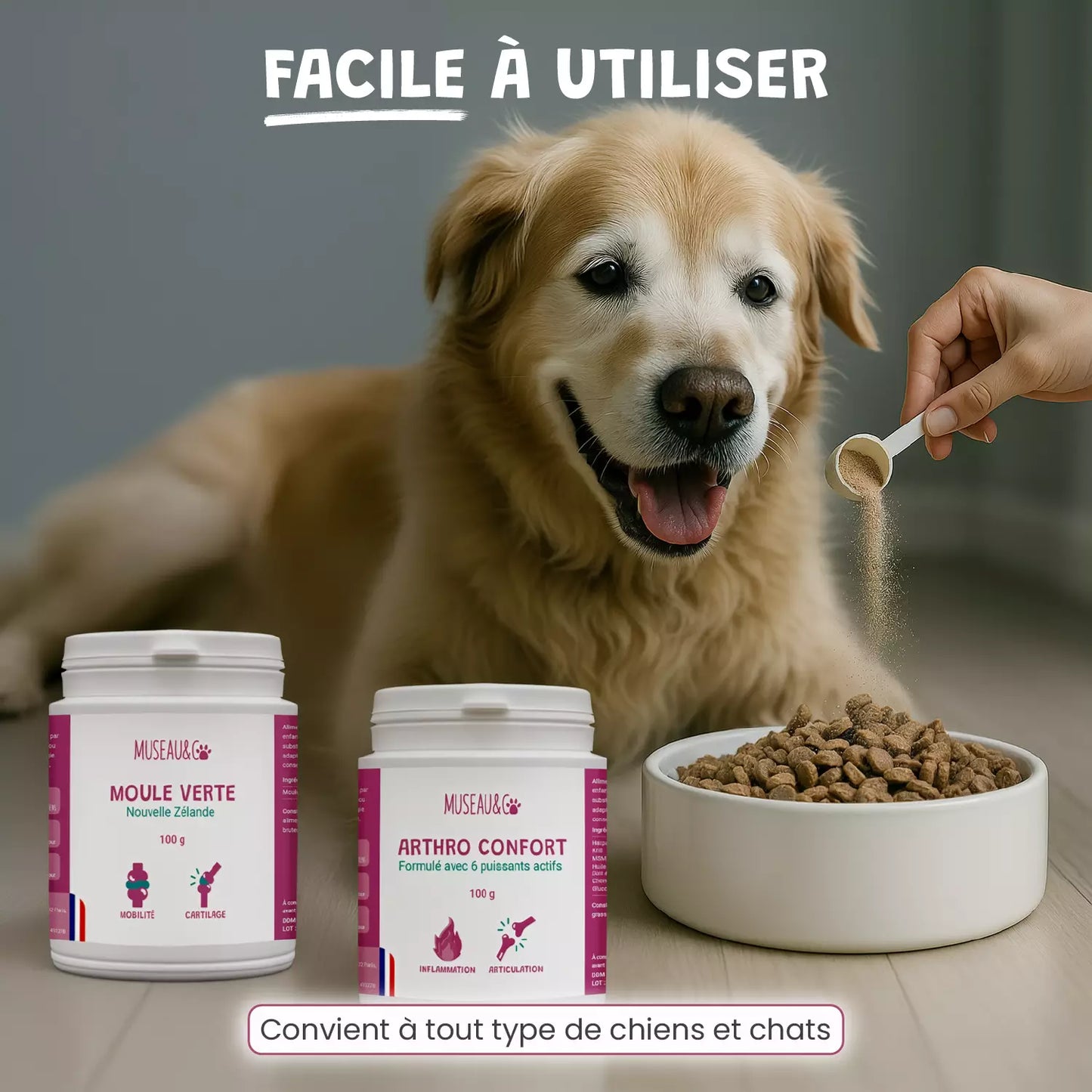 Pack bonds d'artiste