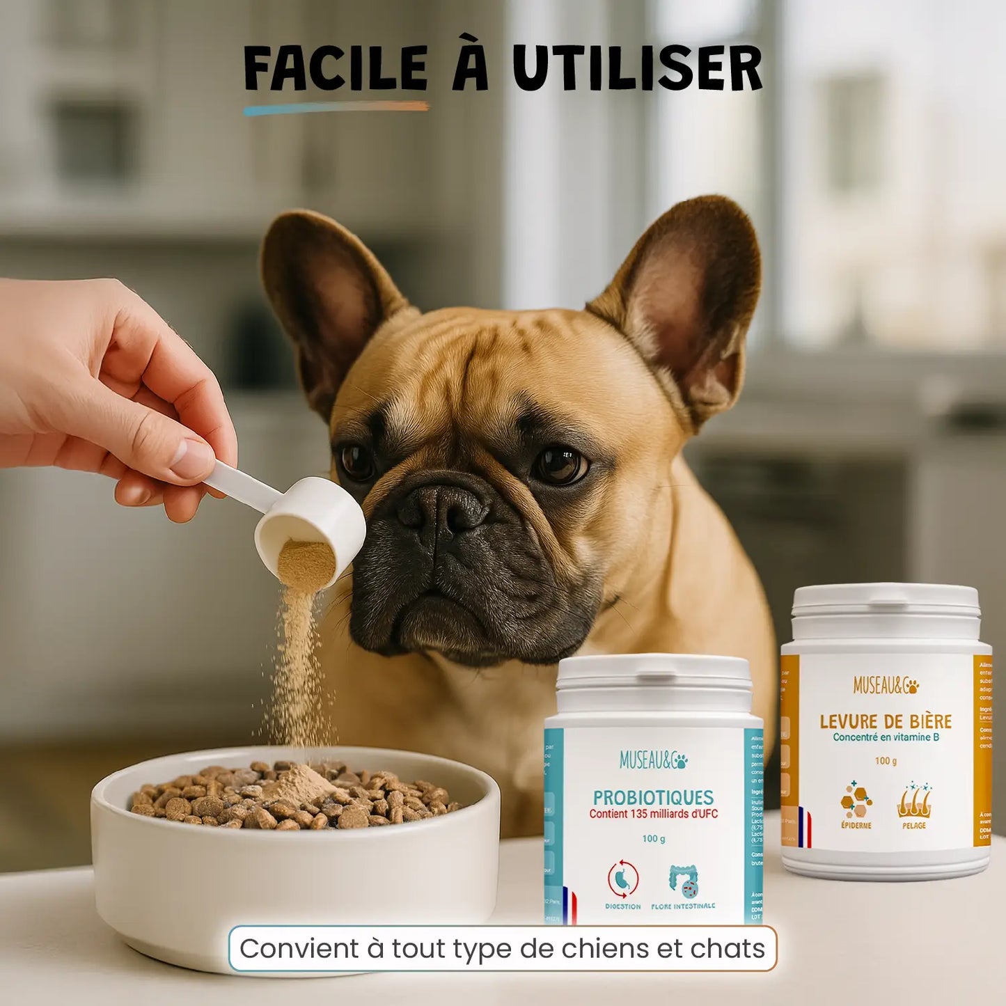 Pack ventre heureux