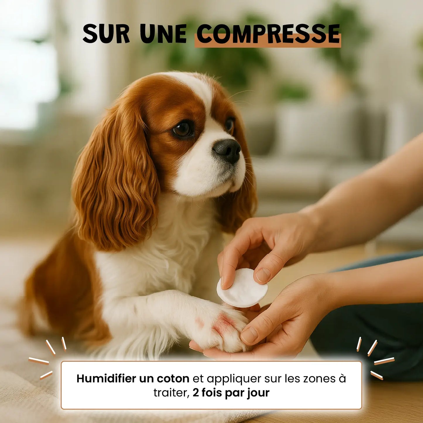 Vinaigre des 4 voleurs