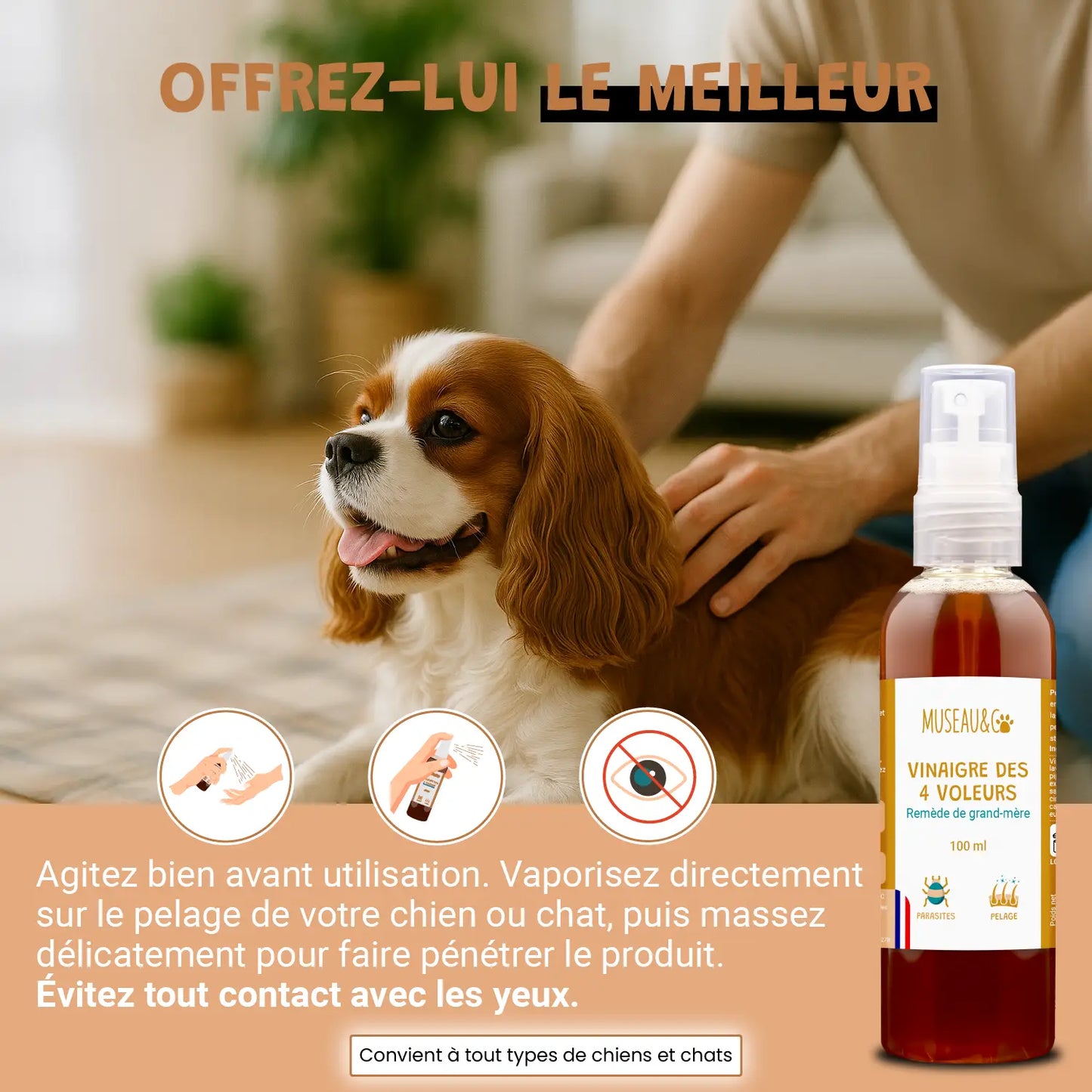 Vinaigre des 4 voleurs