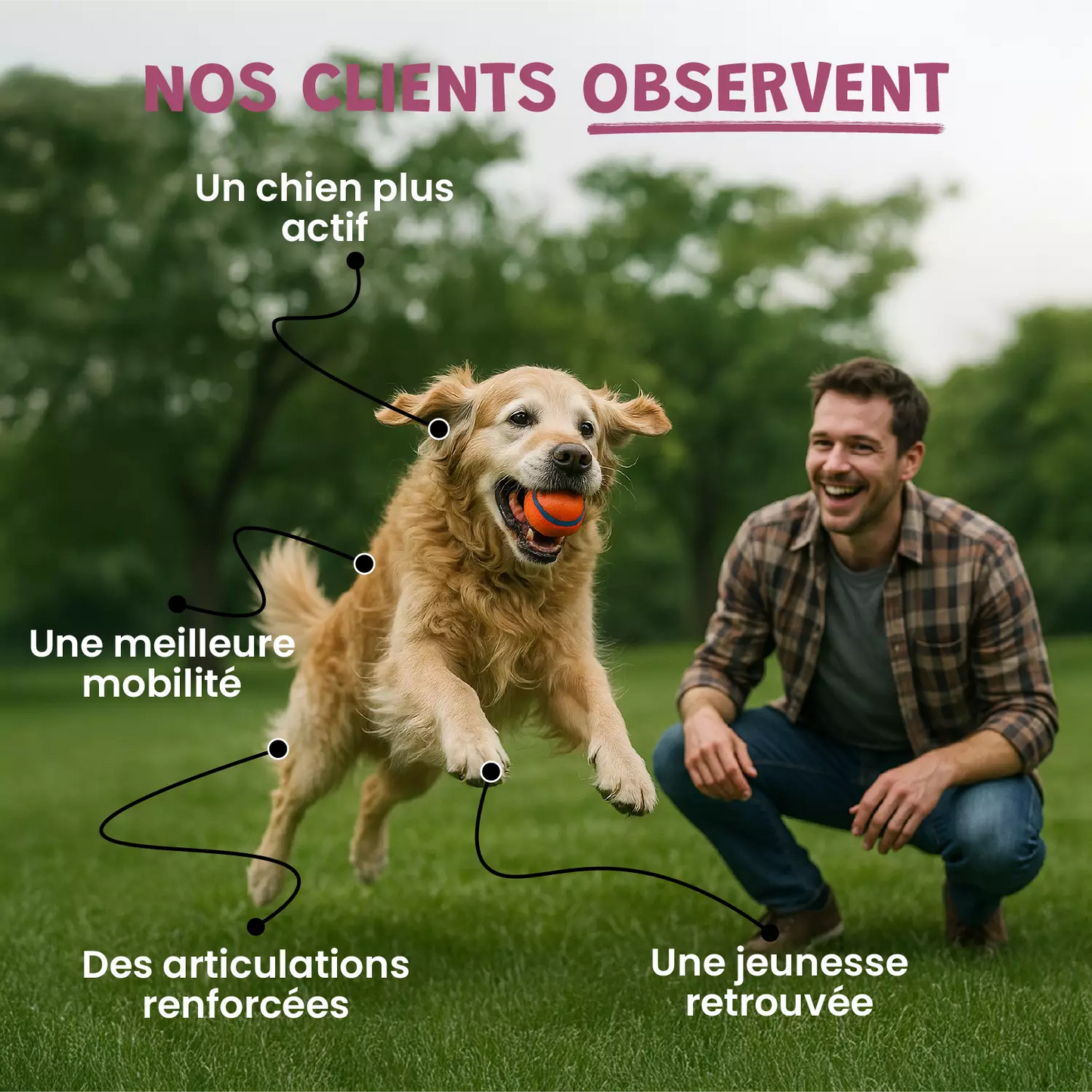 Pack bonds d'artiste