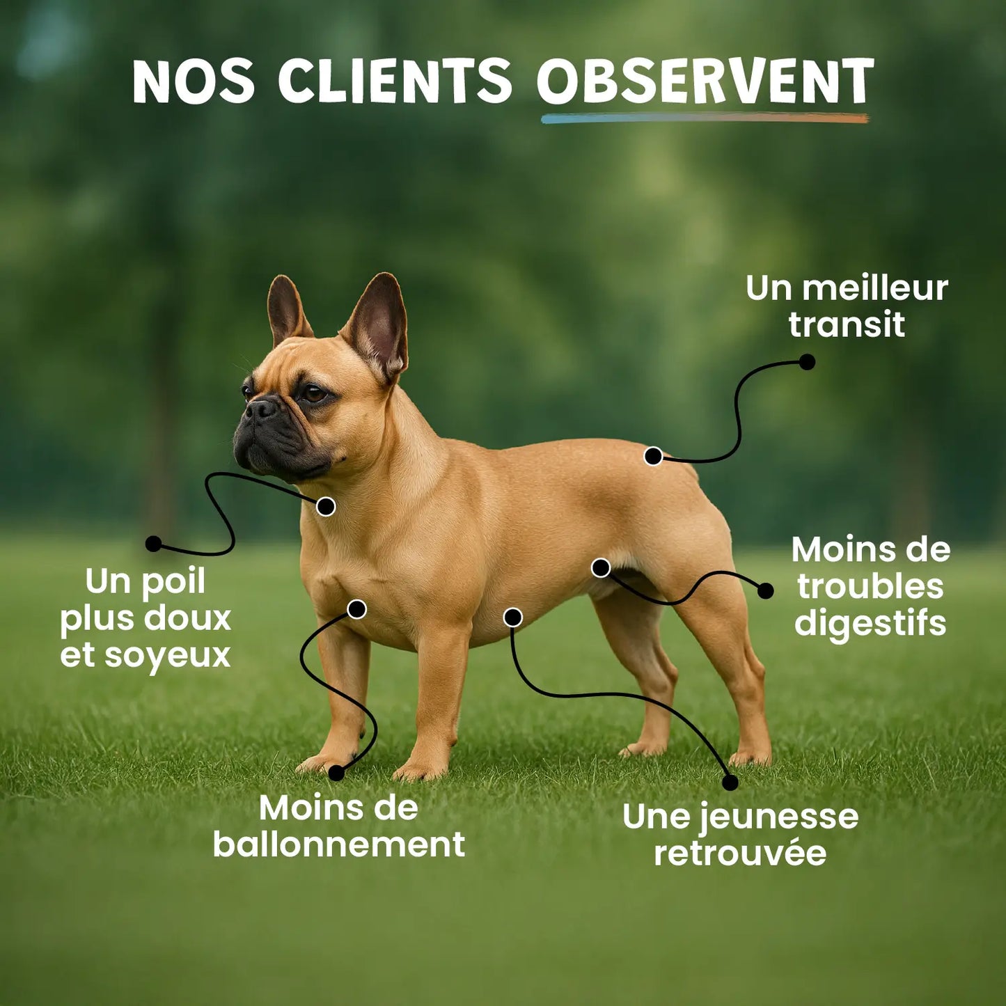 Pack ventre heureux