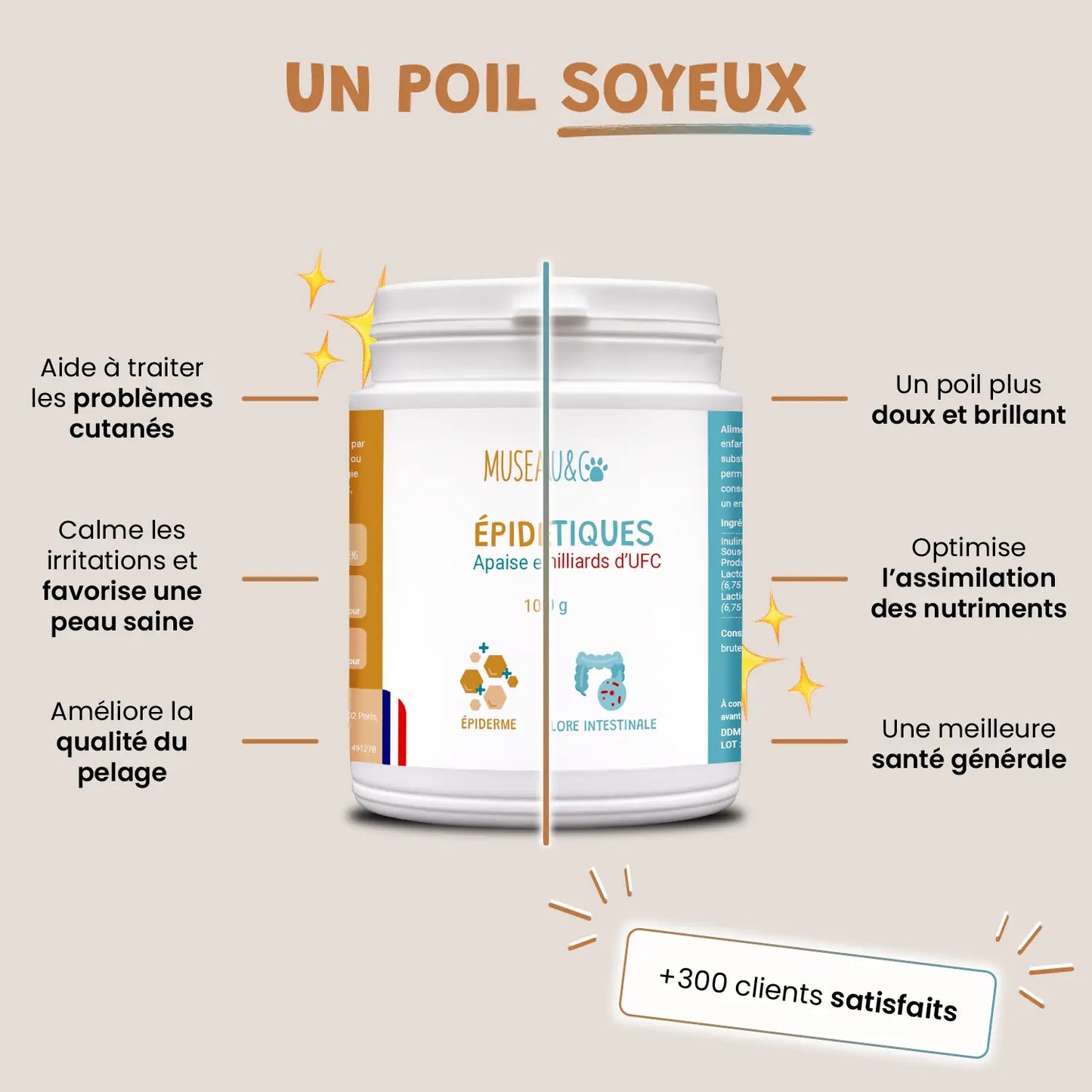 Pack poil de star