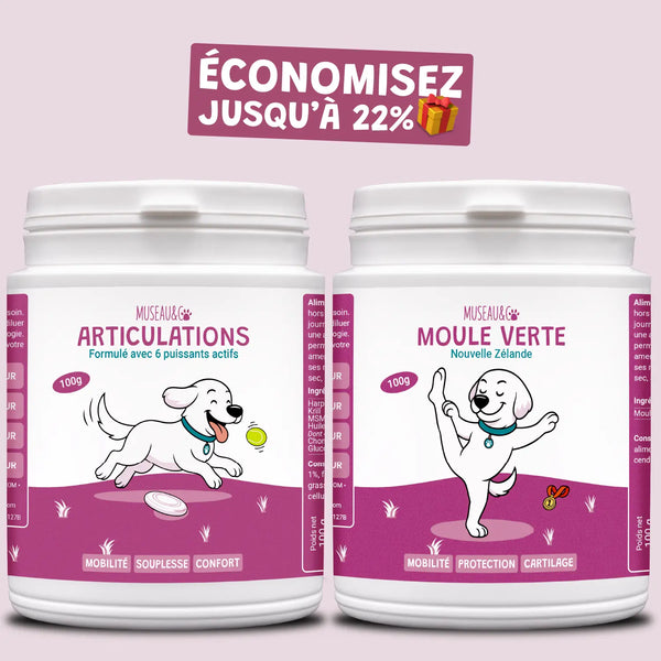 Pack bonds d'artiste