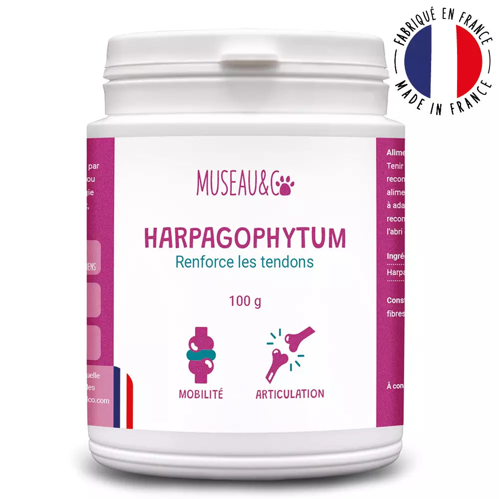 Harpagophytum pour chien & chat - Anti Inflammatoire