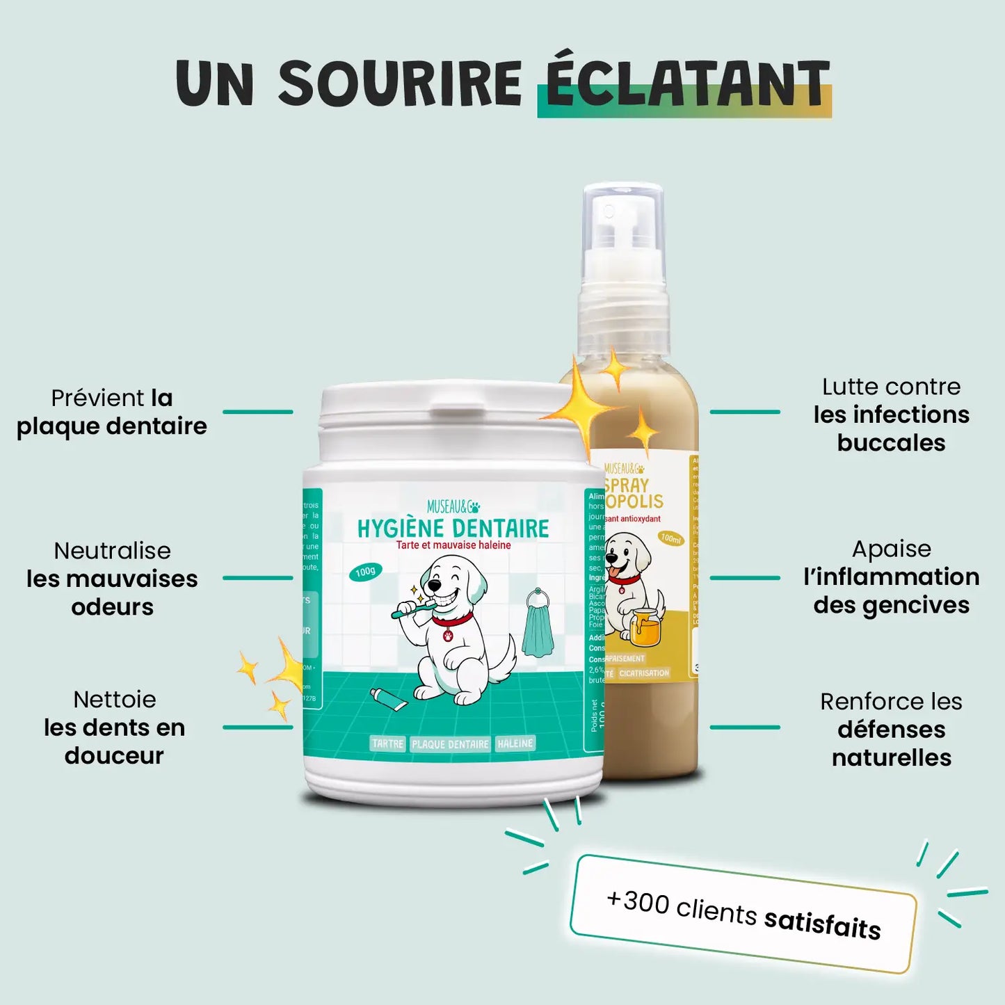 pack smile d'enfer