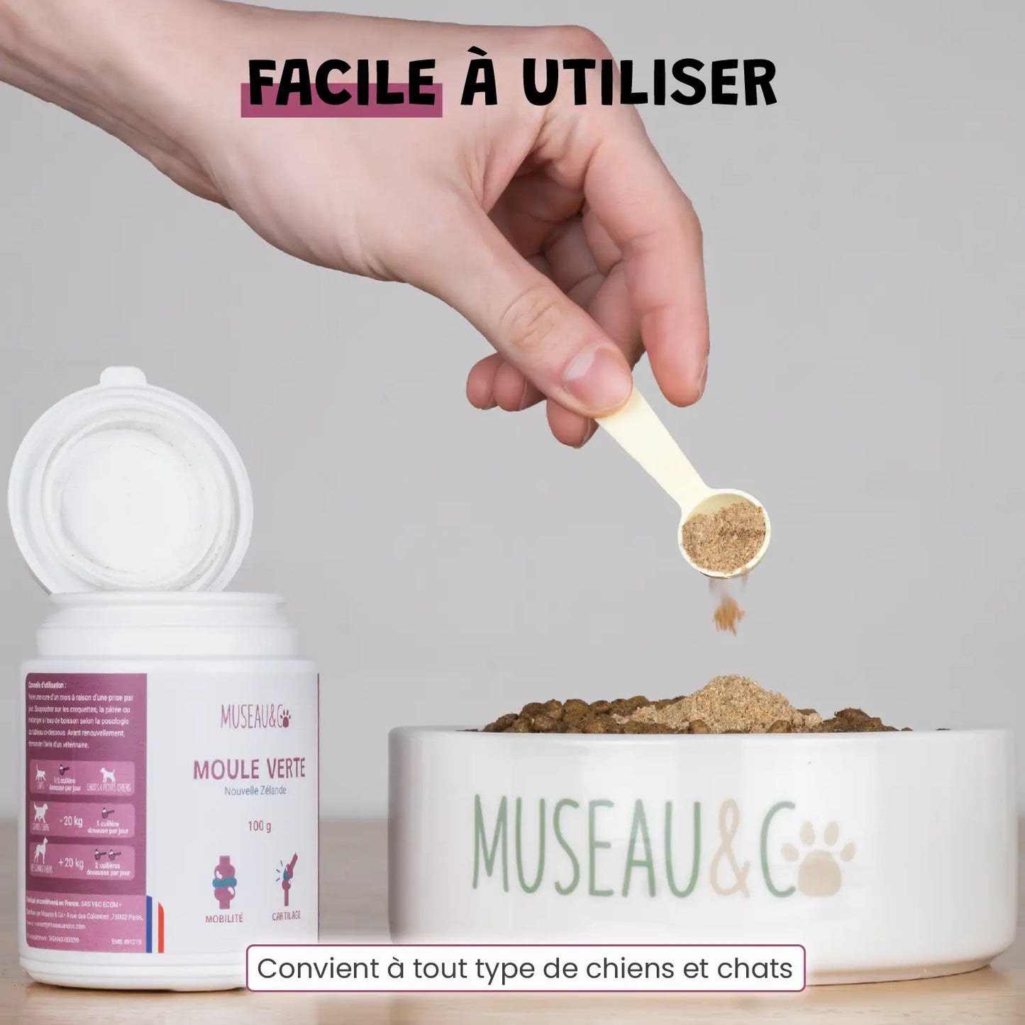 Moule Verte
