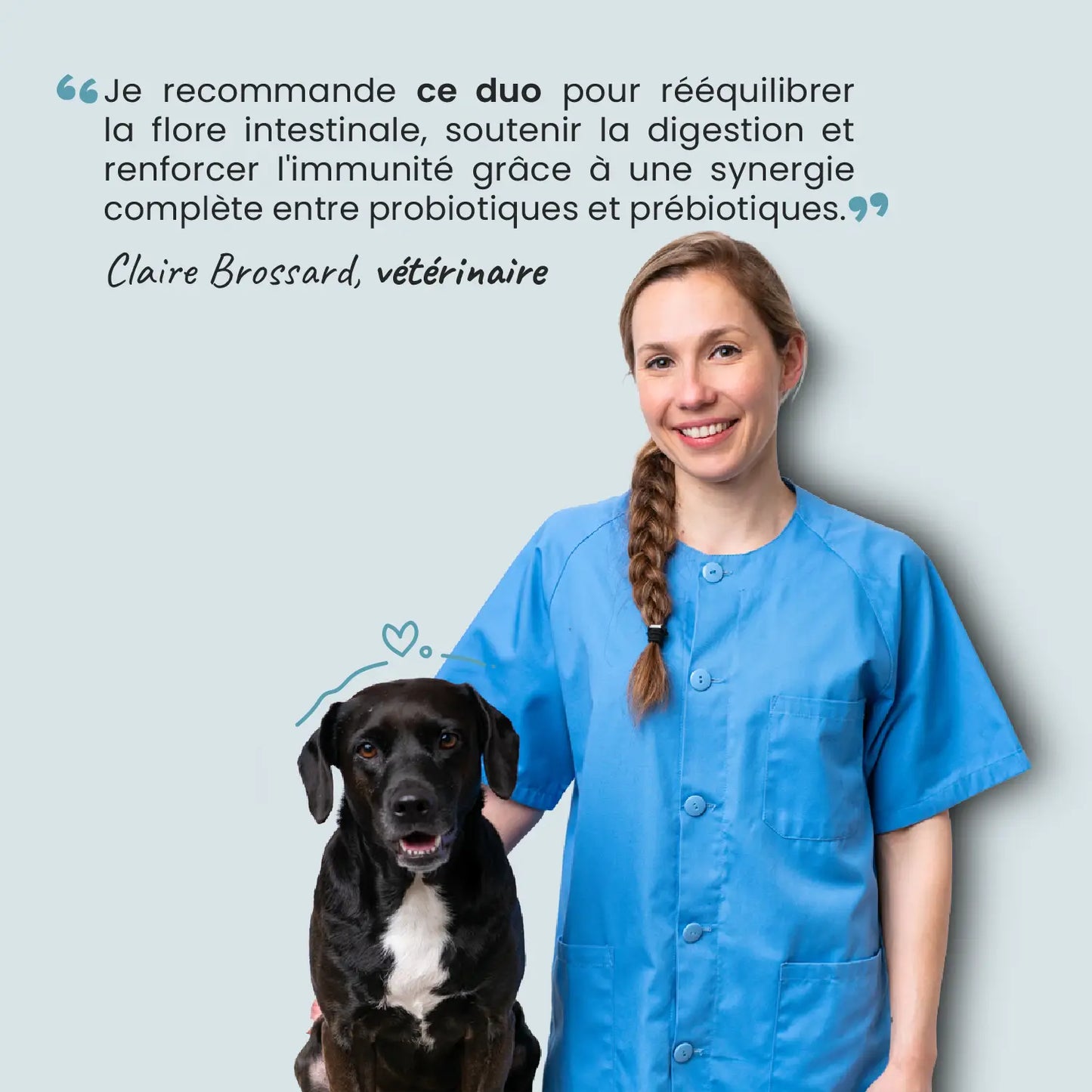 Pack ventre heureux
