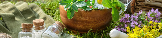Arthrose Chien : 7 Remèdes de Grand-Mère Naturels [Guide 2026]