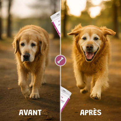 Pack bonds d'artiste