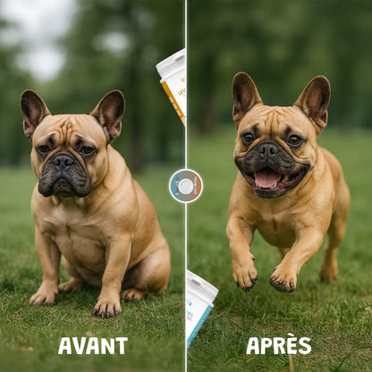 Pack ventre heureux