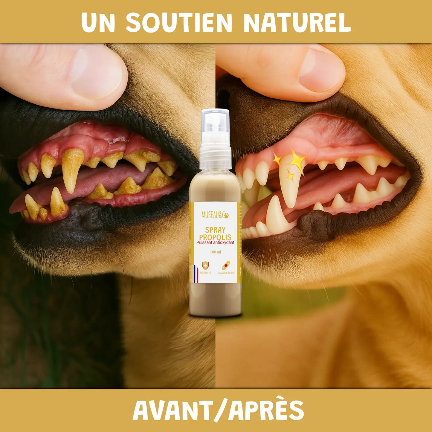 Spray Propolis