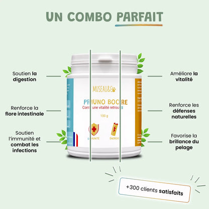pack découverte