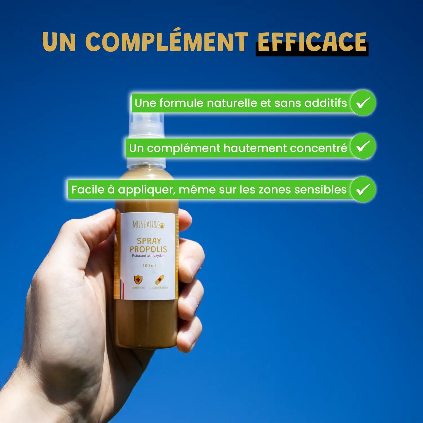 Spray Propolis