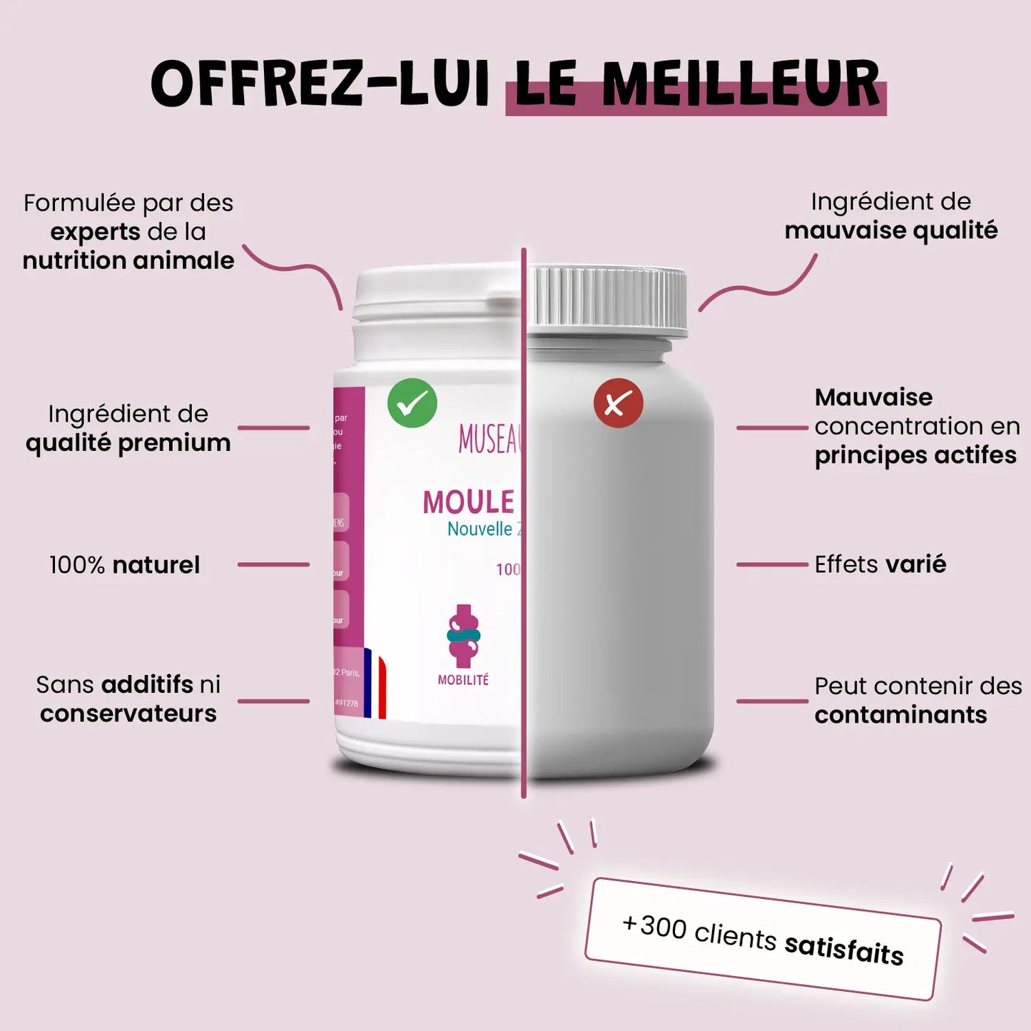 Moule Verte