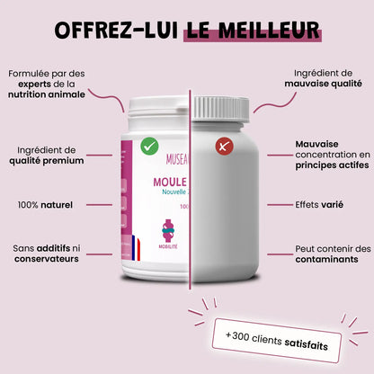 Moule Verte