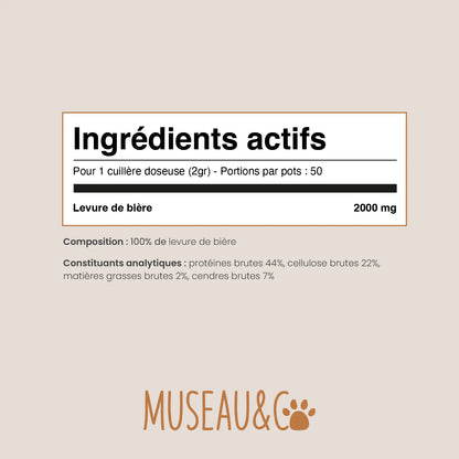 Levure de bière