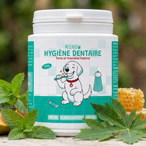 Hygiène Dentaire