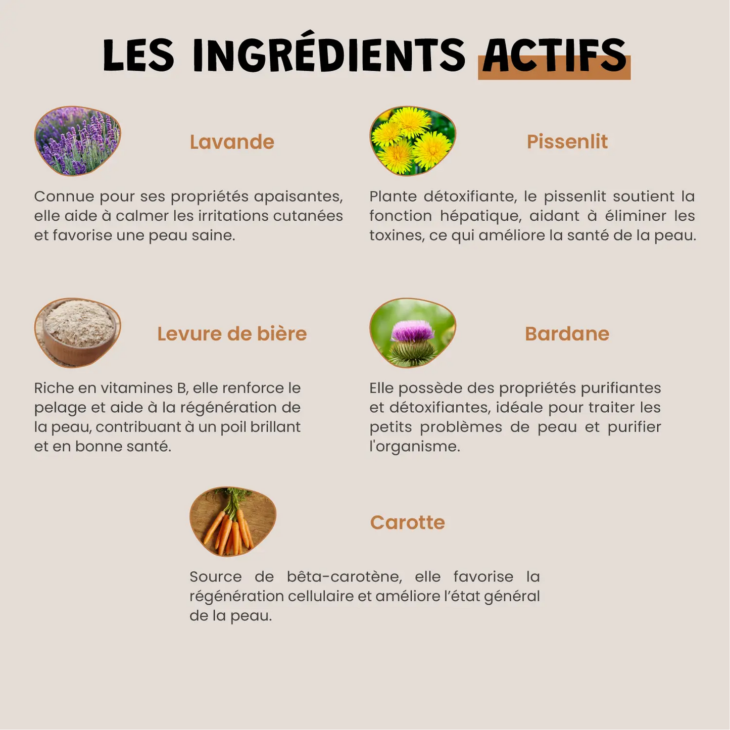 Épiderma