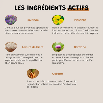 Épiderma