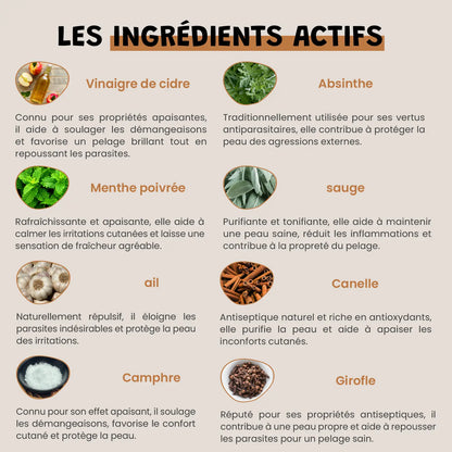Vinaigre des 4 voleurs