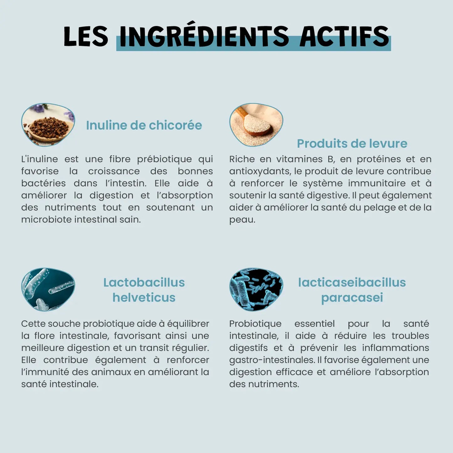 Probiotiques