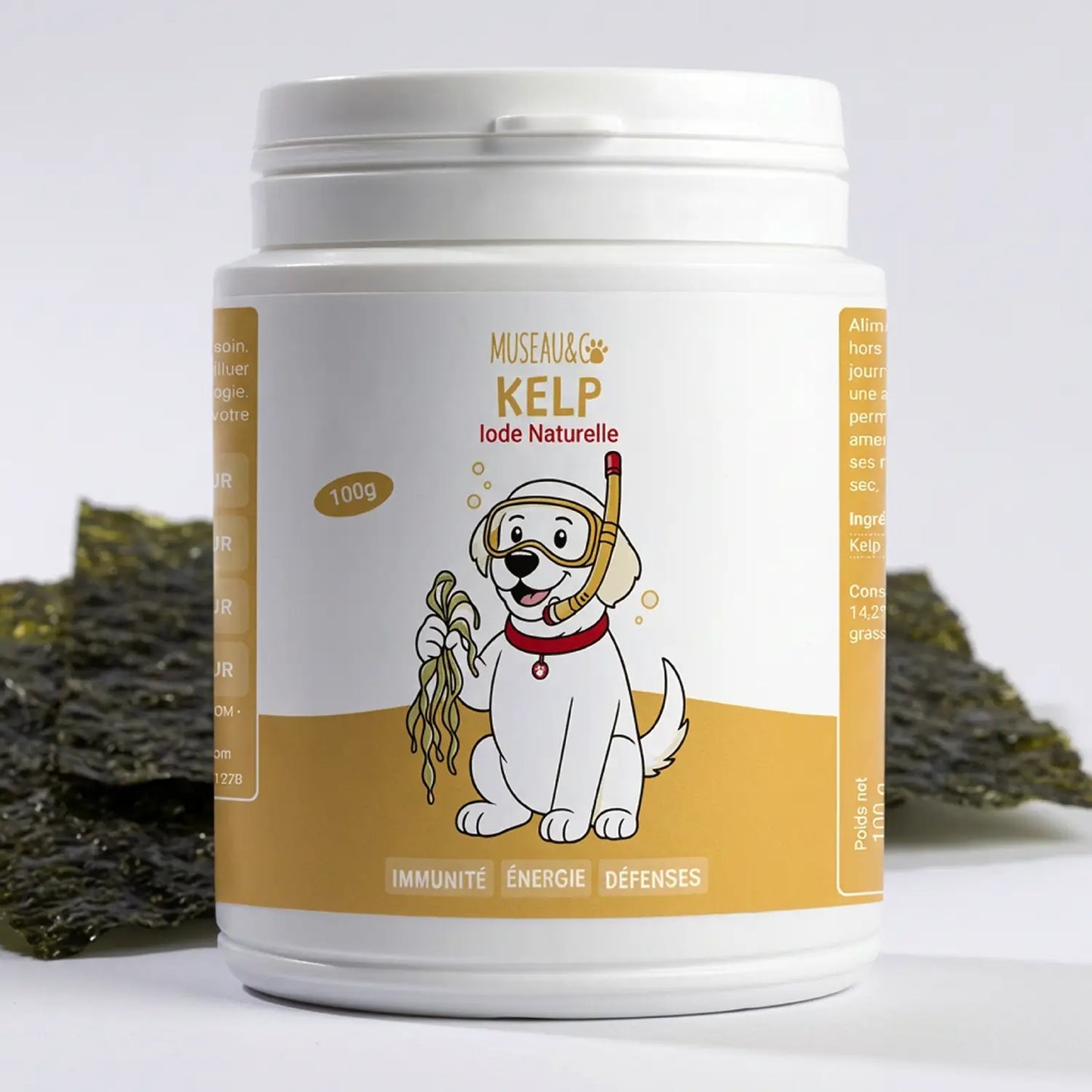 Kelp