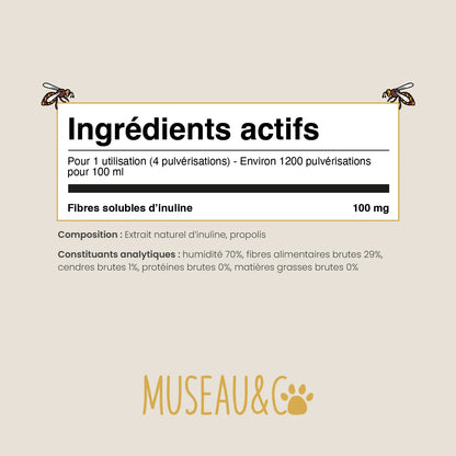 Spray Propolis