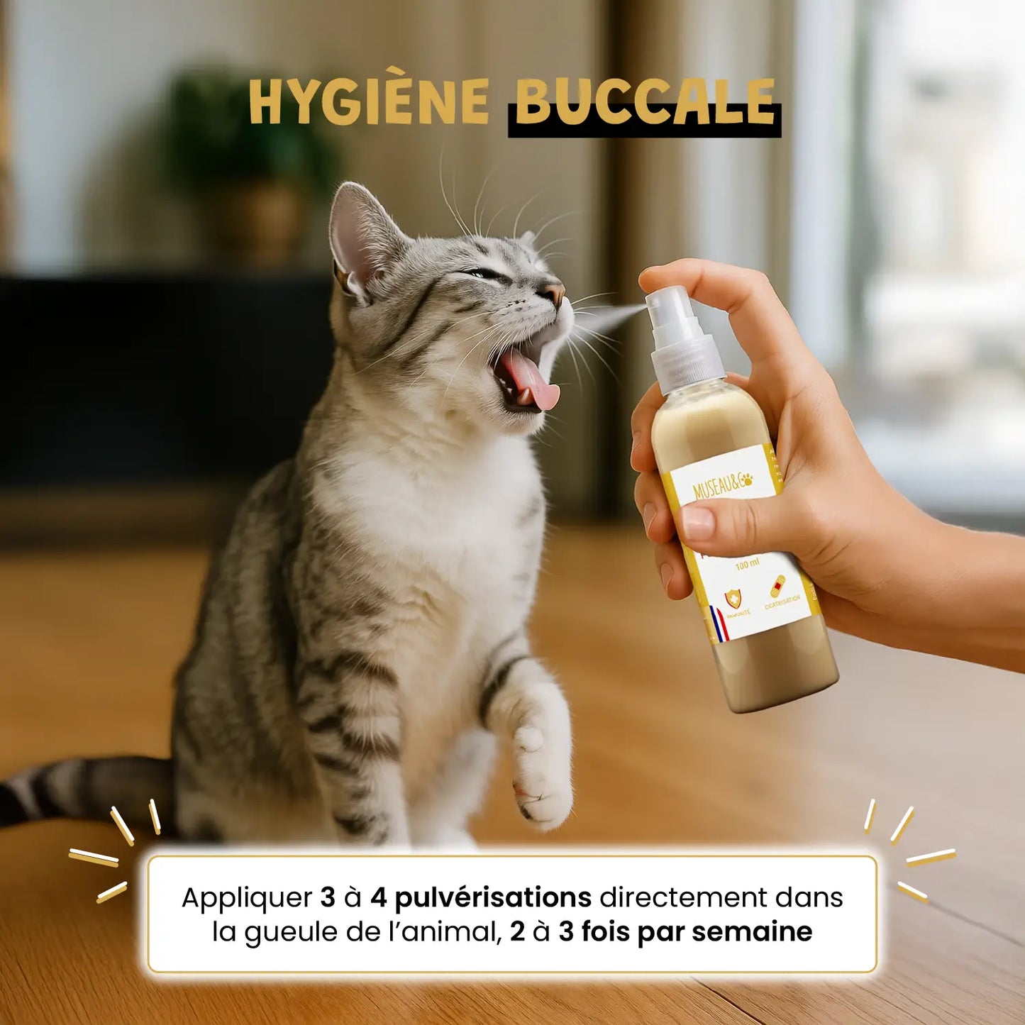 Spray Propolis