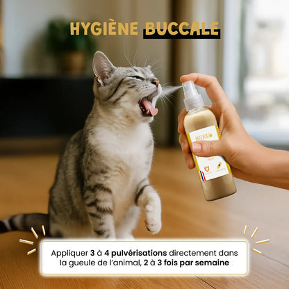 Spray Propolis