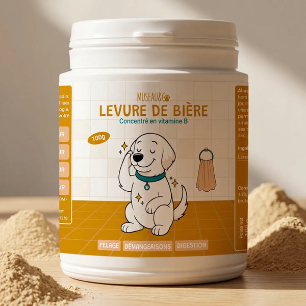 Levure de Bière