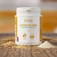 Levure de Bière