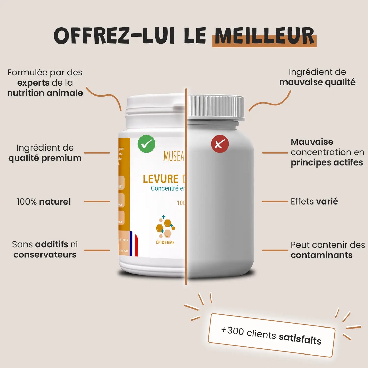 Levure de Bière