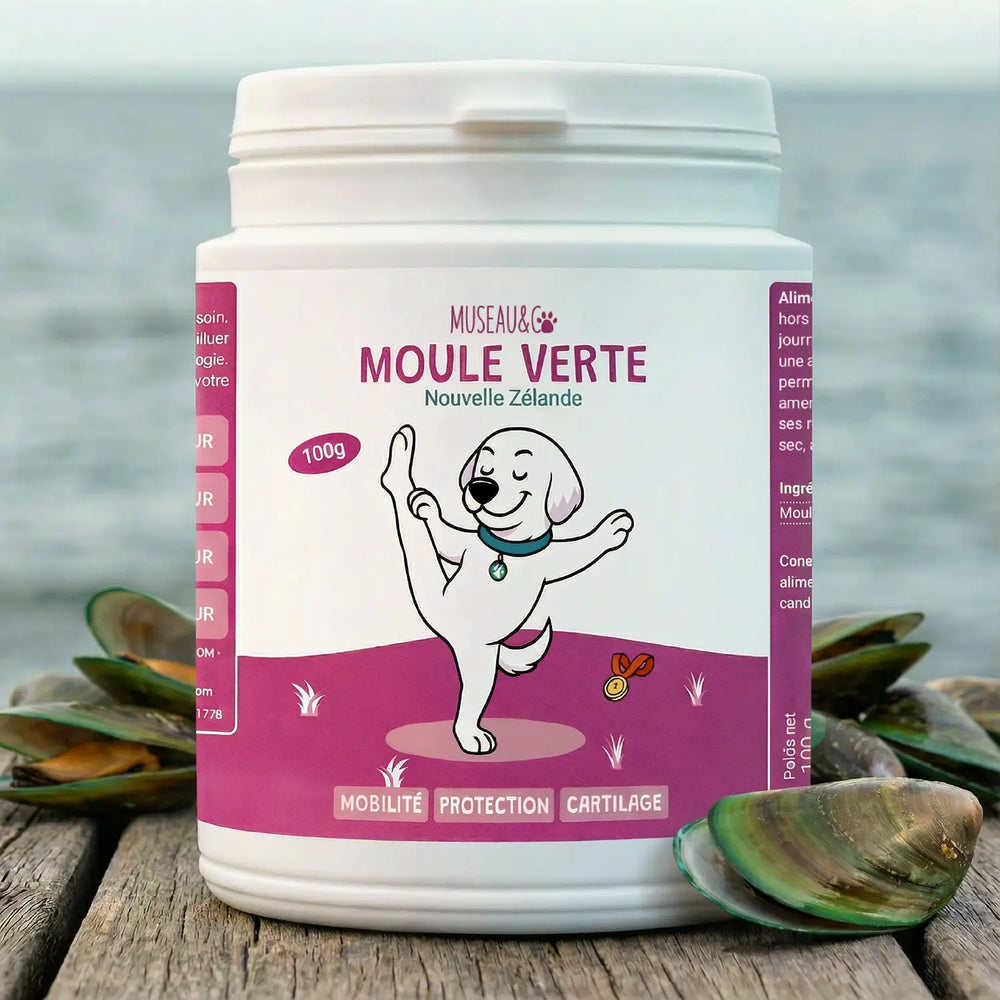 Moule Verte