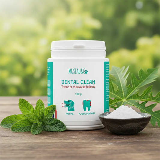 Dental Clean