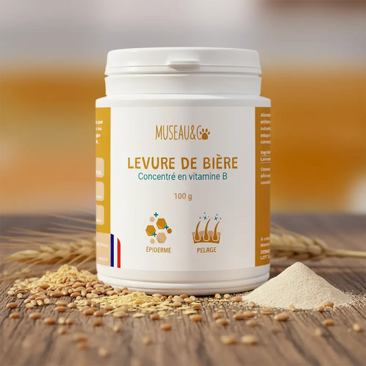 Levure de bière