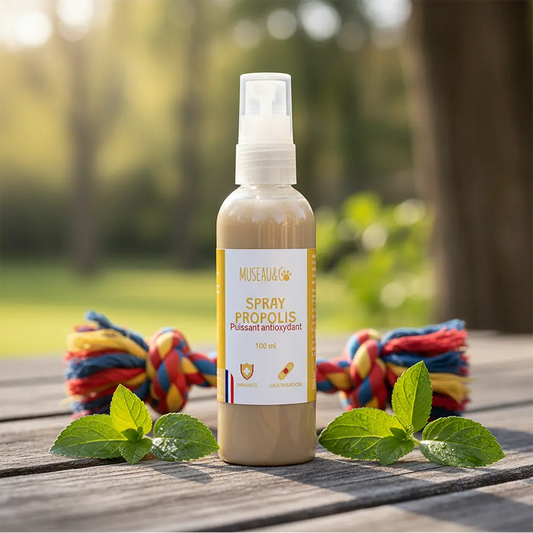 Spray Propolis