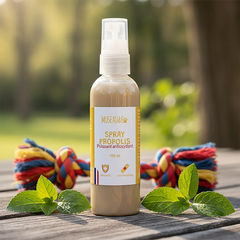Spray Propolis